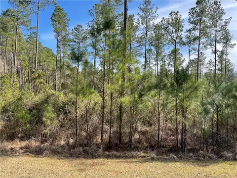 lot97 Draytons Way, White Oak, GA 31568