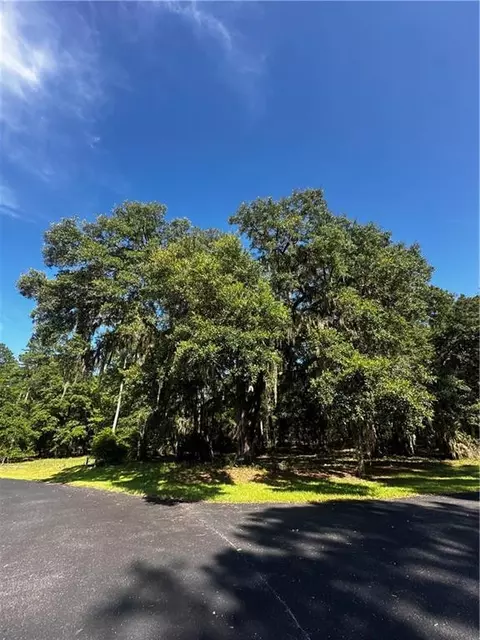 lot610 NE Blue Heron Ln, Townsend, GA 31331