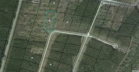 00 Satilla Plantation Rd, Waynesville, GA 31566