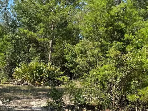 Chatterton Church Road, Other, GA 31554