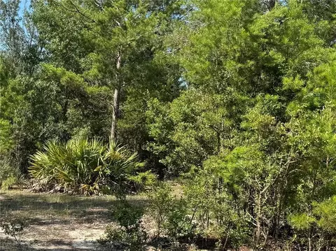 Chatterton Church Road, Nicholls, GA 31554