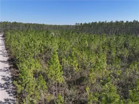 0 Tract 9 Hwy 341 Rd, Odum, GA 31555
