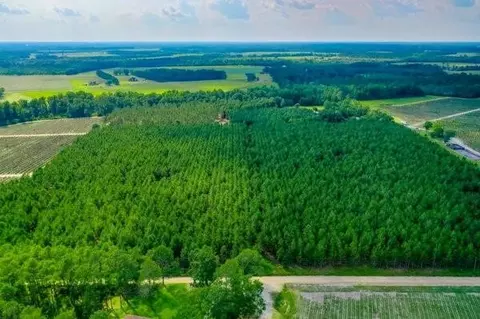 4060 County Farm Road Rd, Blackshear, GA 31516