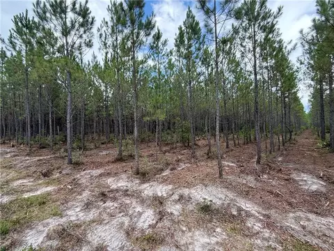 0 Corbitt Rd, Manor, GA 31550