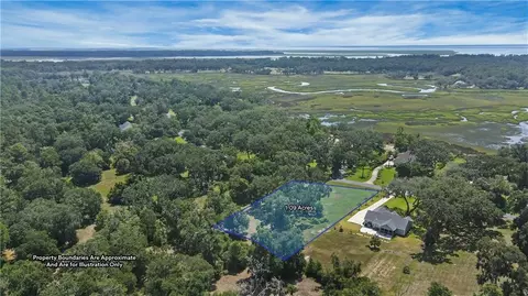 lot51 Coopers Point Dr NE, Townsend, GA 31331