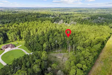 0 Serenity Farms Rd, Woodbine, GA 31569