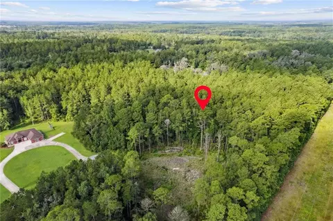 0 Serenity Farms Rd #16 AND 17, Woodbine, GA 31569