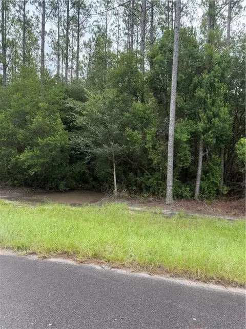 00 Heritage Cir, Hortense, GA 31543