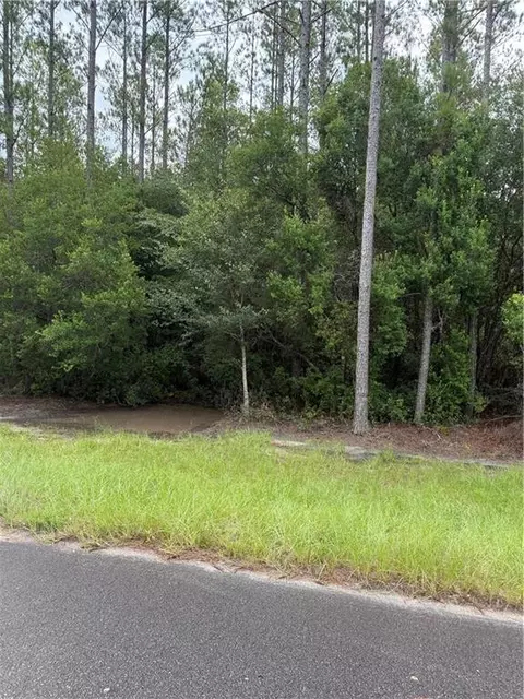 00 Heritage Cir #22, Hortense, GA 31543