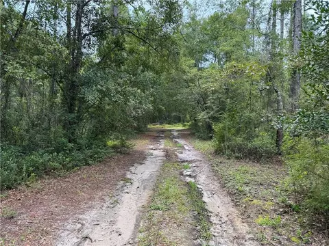 288 Rattler Run, Hortense, GA 31543