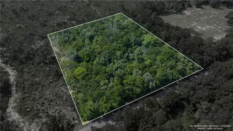 2 5 Acres On Susie Baker Rd NE, Crescent, GA 31304
