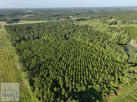 Tract 1a & 1c Oglethorpe Road, Jesup, GA 31545
