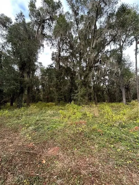 lot17 Plantation Dr, Darien, GA 31305