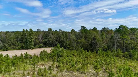 0 Ernest Carter Rd, Other, GA 31539