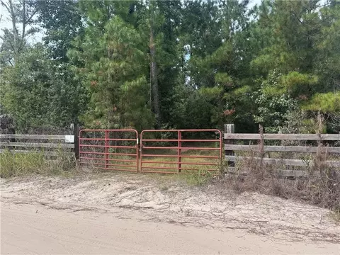 38 86 Acres Mt Olive Rd, Waynesville, GA 31566