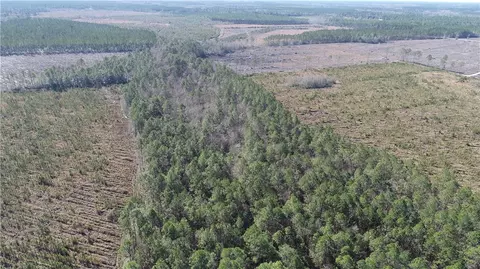 5100 Flowers Branch Rd, Jesup, GA 31546