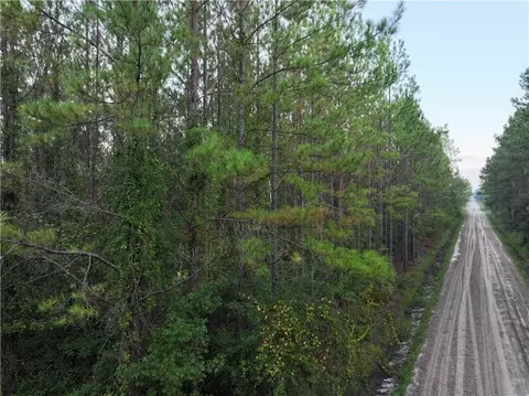 1 Rogers Break Rd, Jesup, GA 31546