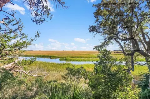 12 Tolomato Dr, Darien, GA 31305