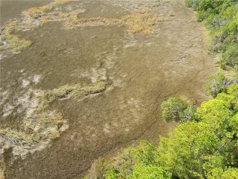 0 Confederate Point Dr, White Oak, GA 31568