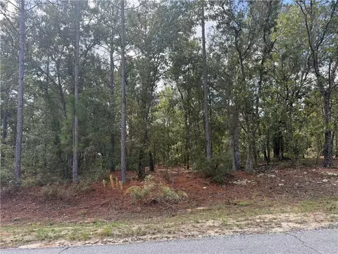 lot51 Ridge Loop #51, Blackshear, GA 31516