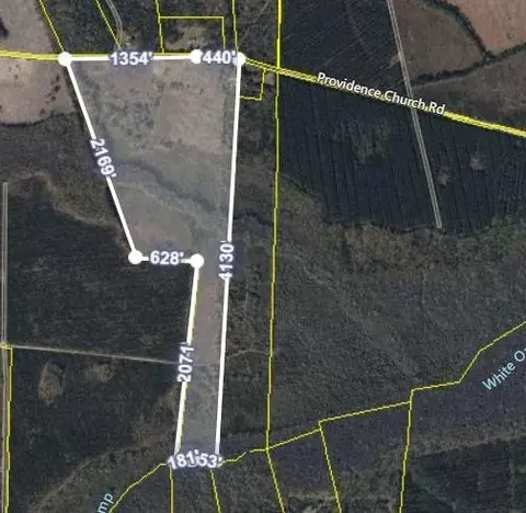 76 Acres Providence Church Rd, White Oak, GA 31568