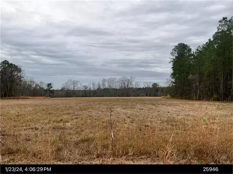 4601 Old Scapa Ln, Waycross, GA 31503