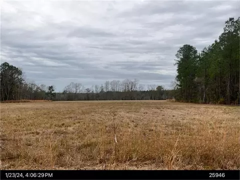 4601 Old Scapa Ln, Waycross, GA 31503