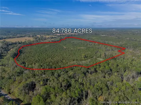 Tract 8 United Church Road, Other, GA 31544