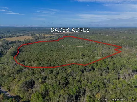 Tract 8 United Church Road, Jacksonville, GA 31544