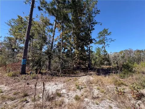 39 38 Branson Rd, Townsend, GA 31331 photo 3
