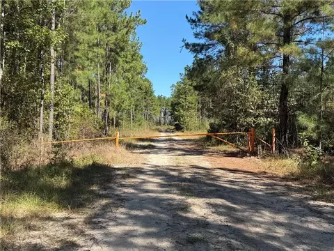 39 38 Branson Rd, Townsend, GA 31331
