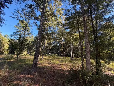 39 38 Branson Rd, Townsend, GA 31331 photo 11