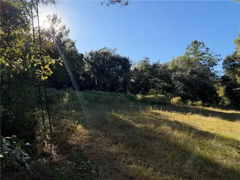 39 38 Branson Rd, Townsend, GA 31331 photo 7