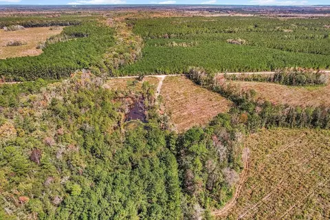 39 38 Branson Rd, Townsend, GA 31331 photo 15