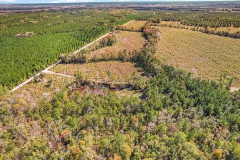 39 38 Branson Rd, Townsend, GA 31331 photo 14