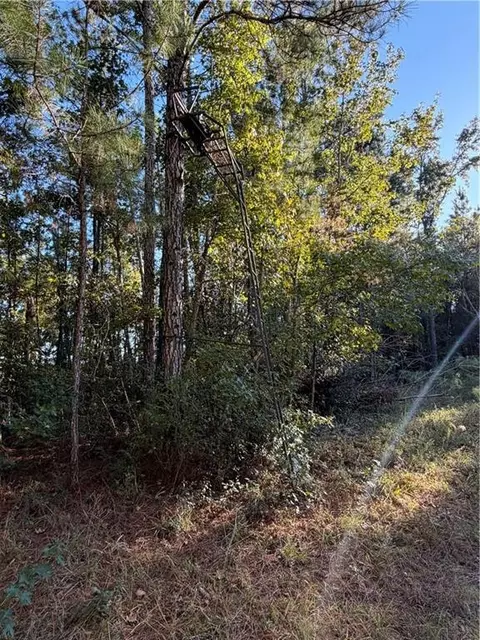 39 38 Branson Rd, Townsend, GA 31331 photo 9