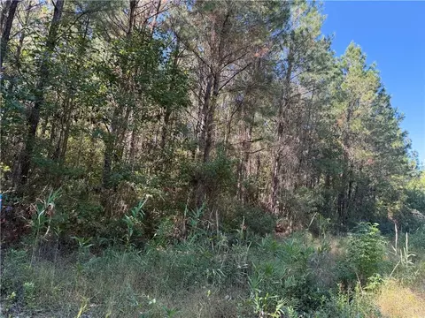 6 69 Acs Buck Ryals Rd NE, Townsend, GA 31331