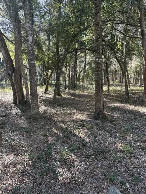 186 Fancy Bluff Cir, Brunswick, GA 31523