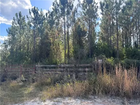 38 74 Acres Mount Olive Rd, Waynesville, GA 31566
