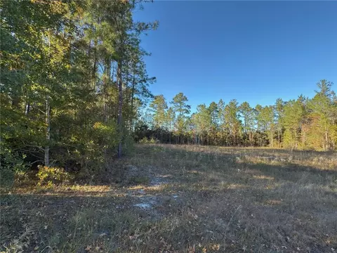 lot1 Wildwood Country Estatesthoroughbred Rd, Woodbine, GA 31569