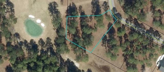 lot111 Mulligan Dr NE, Townsend, GA 31331