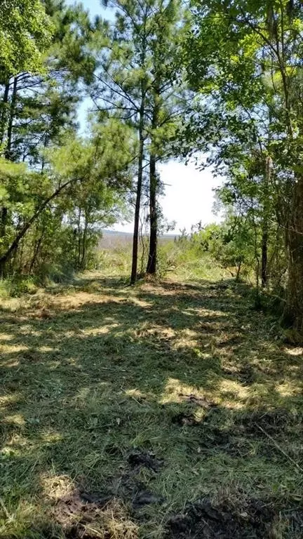 0 Briar Patch Pl #27, Townsend, GA 31331 photo 2