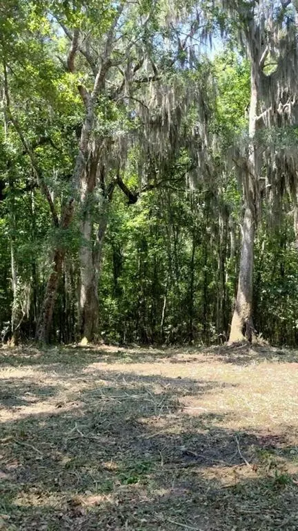 0 Briar Patch Pl #27, Townsend, GA 31331