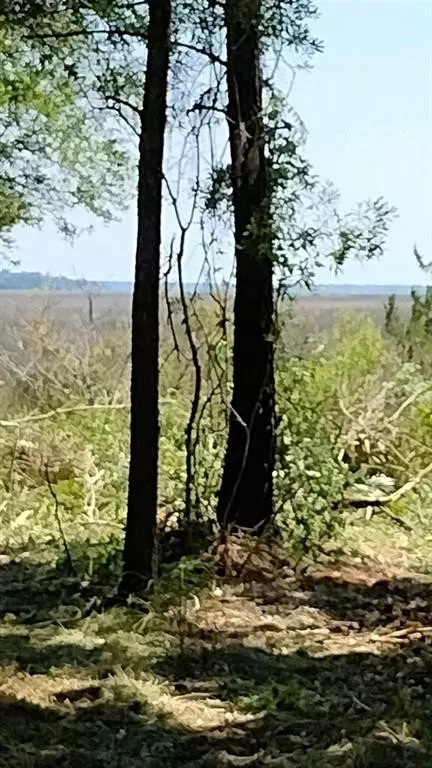 0 Briar Patch Pl #27, Townsend, GA 31331 photo 3