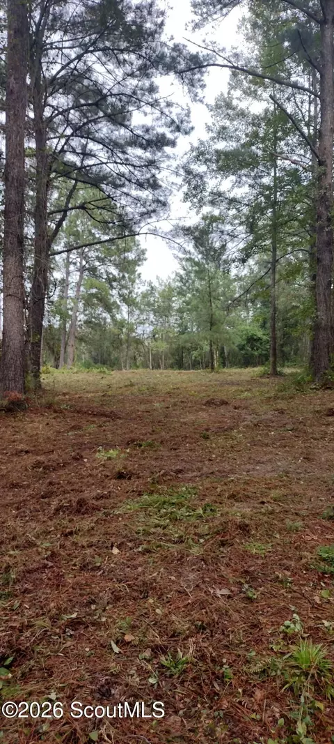 0 Briar Patch Pl #30, Townsend, GA 31331 photo 14