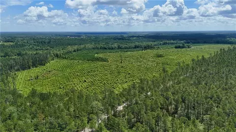 Tract 2 Bennett Mill Pond Road, Odum, GA 31555