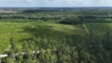 Tract 3 Bennett Mill Pond Road, Odum, GA 31555