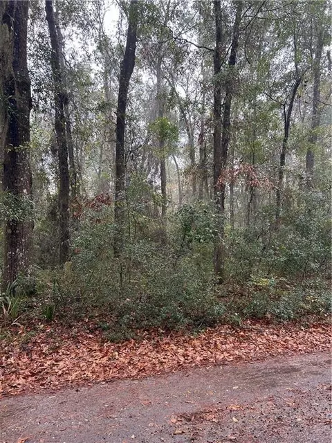 lot15 Harmony Hill Ln #15, Townsend, GA 31331