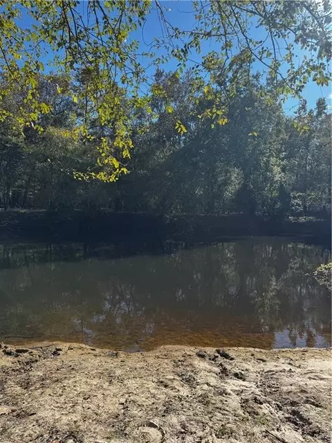 lot S 919293 Tract 544 Spikes Rd, Reidsville, GA 30453