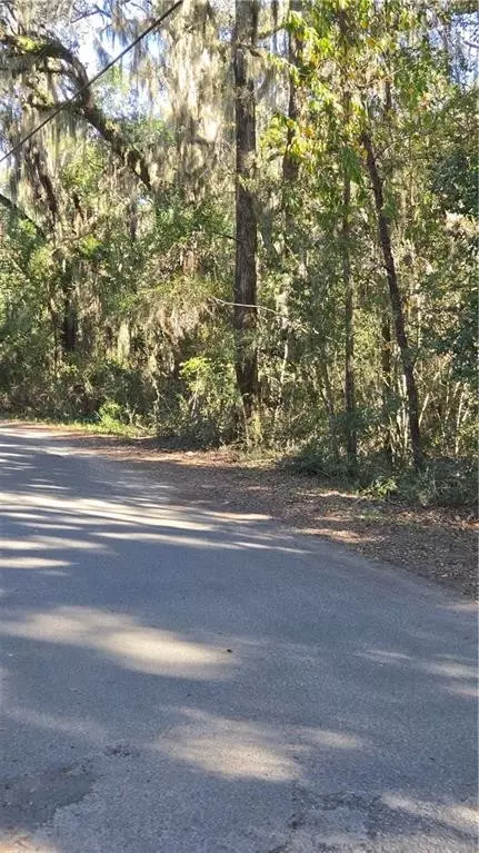 1431 SW Mentionville Rd SW, Darien, GA 31305